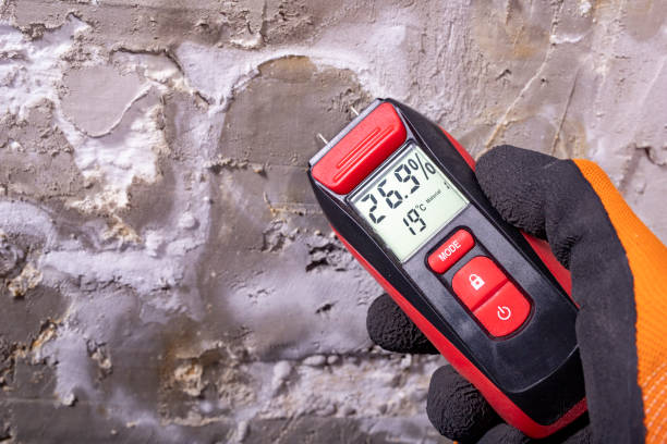 Best Certified Mold Removal  in Dyer, TN