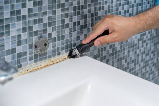 Best Mold Cleaning Services  in Dyer, TN