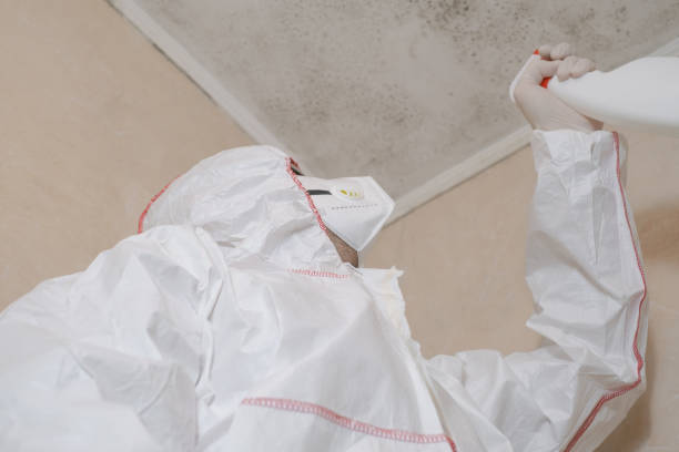 Mold Removal and Inspection in Dyer, TN
